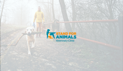 Stand for Animals Veterinary Clinic company logo